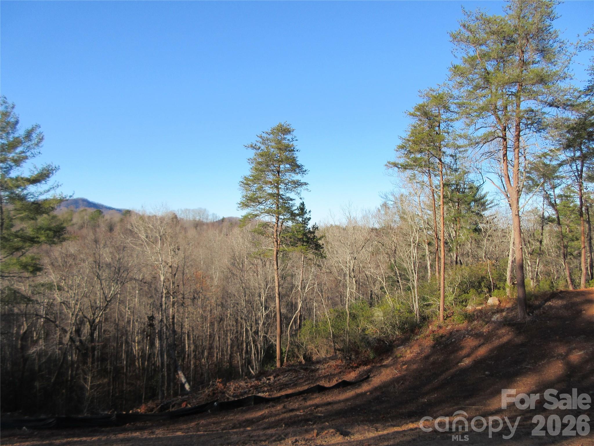 0 Levi Road Columbus NC 28722