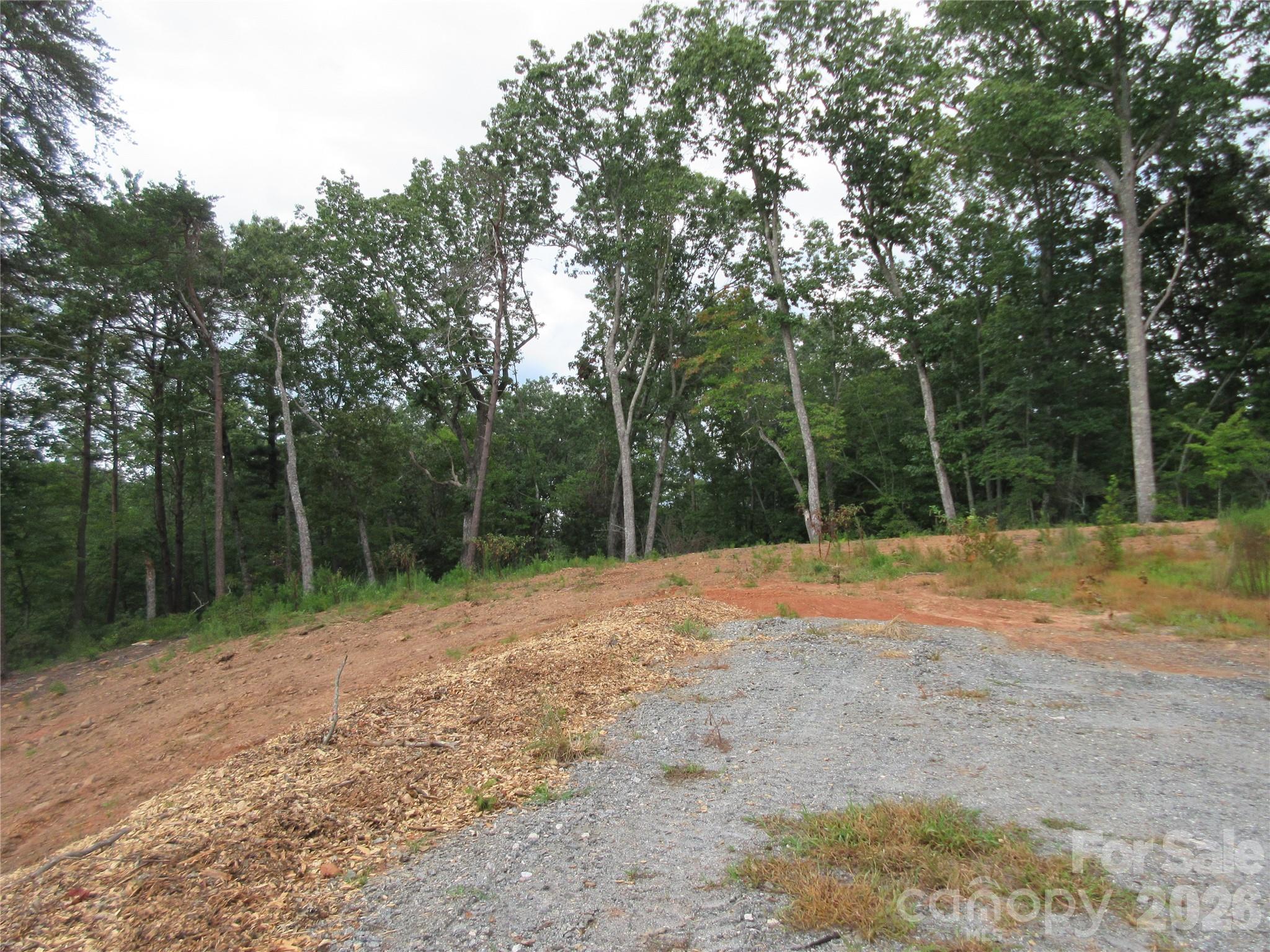 0 Levi Road Columbus NC 28722
