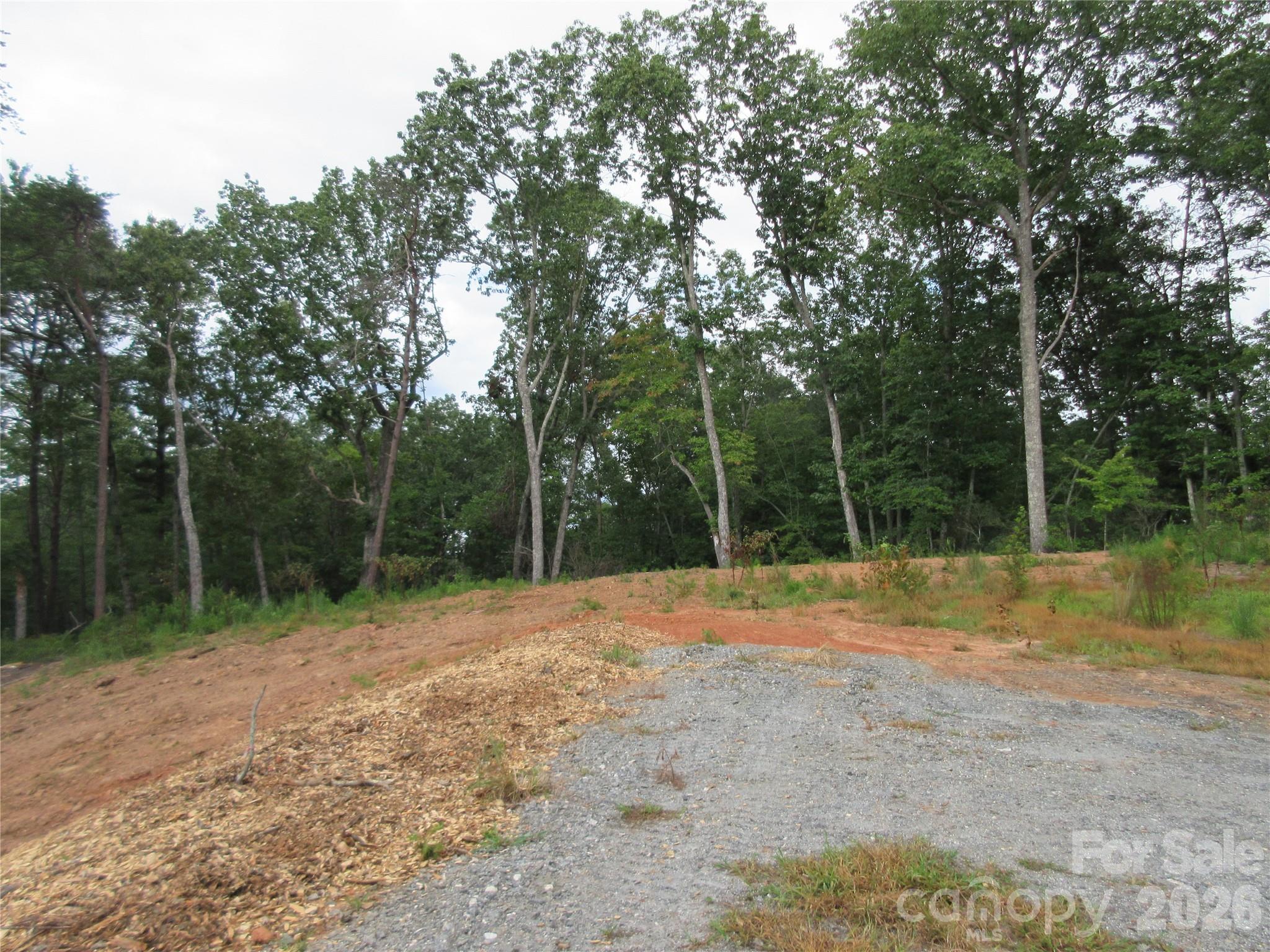0 Levi Road Columbus NC 28722