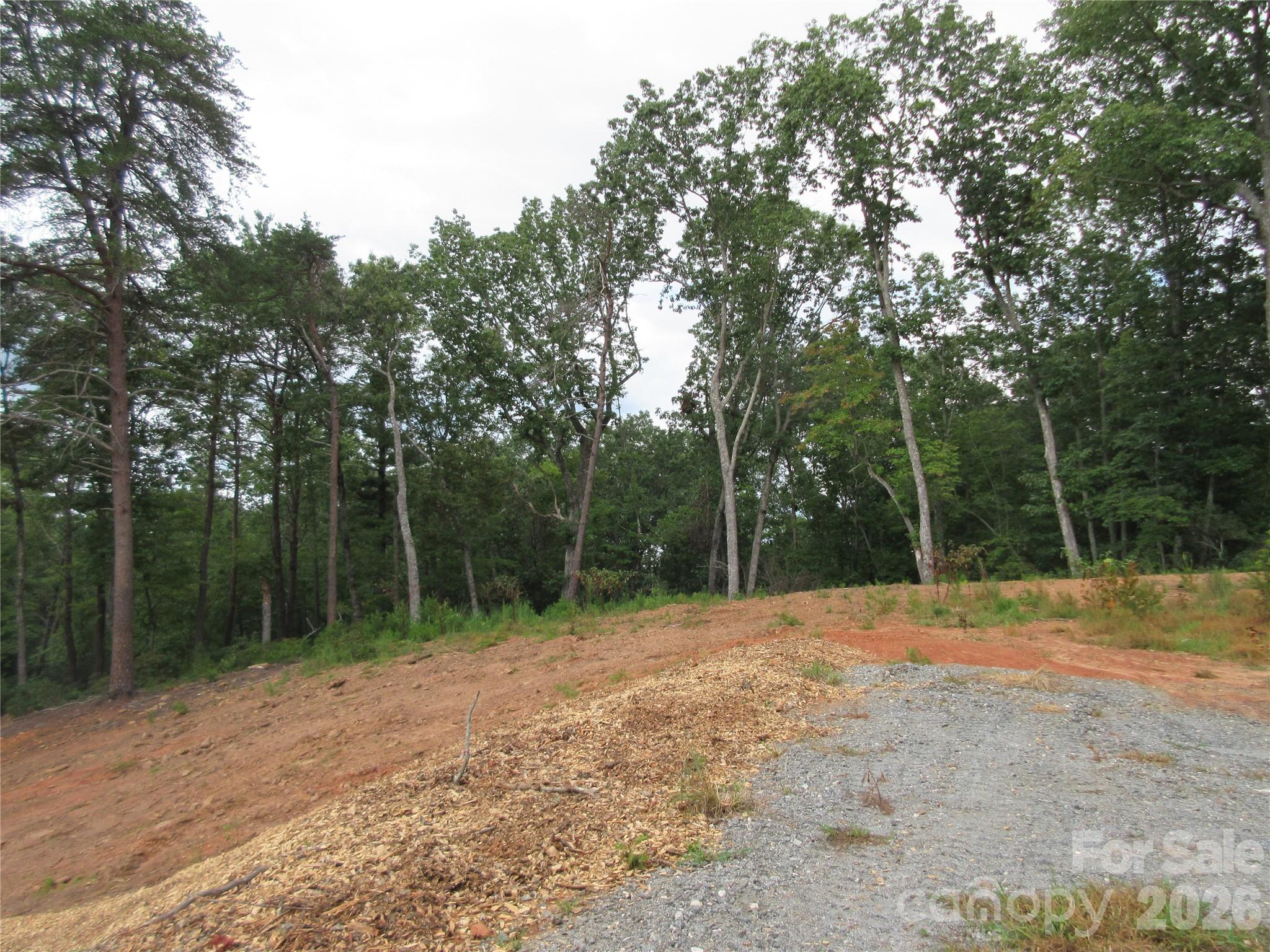 0 Levi Road Columbus NC 28722