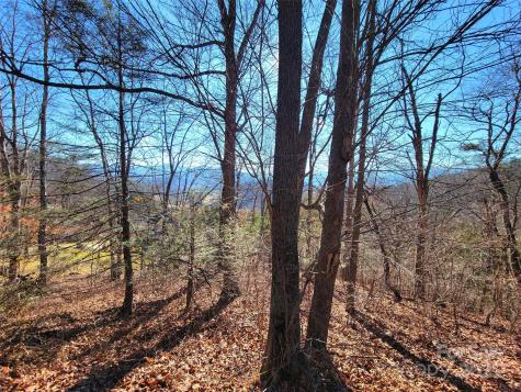 50 Feather Lane Waynesville NC 28786