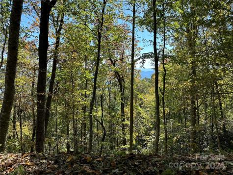 9999 Barn Cove Road Clyde NC 28721