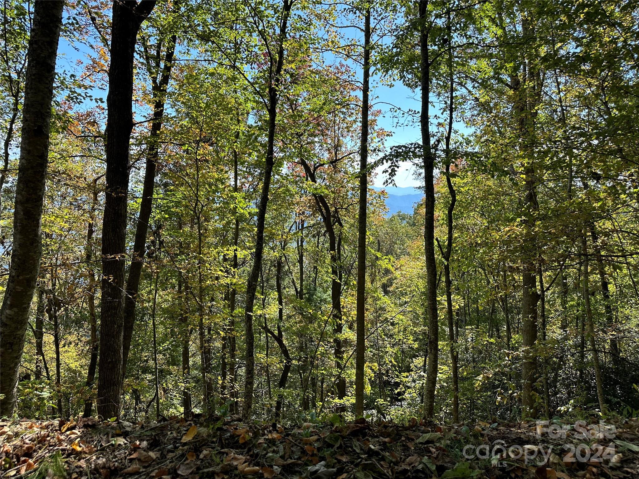 9999 Barn Cove Road Clyde NC 28721