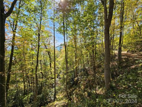9999 Barn Cove Road Clyde NC 28721
