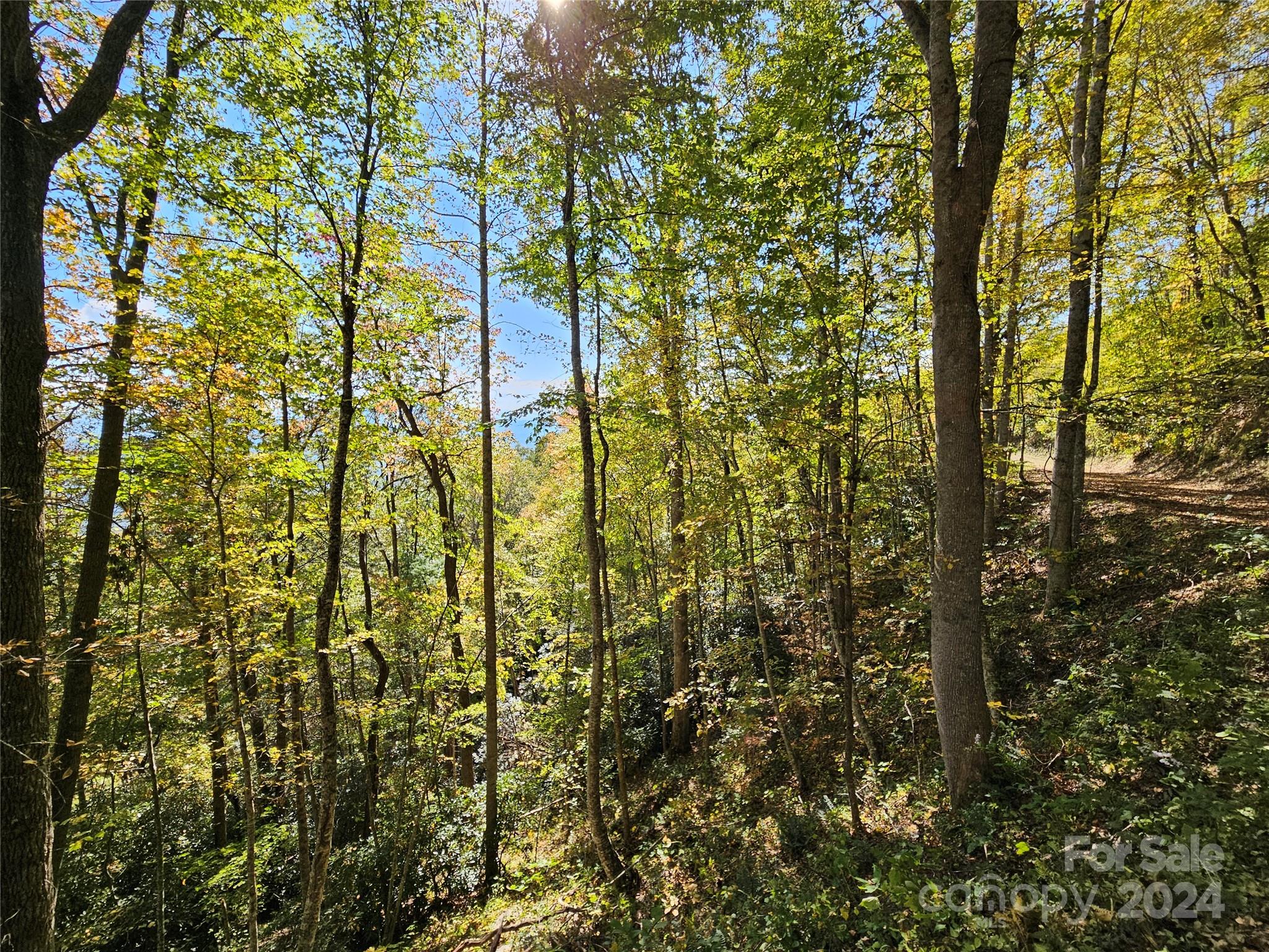 9999 Barn Cove Road Clyde NC 28721