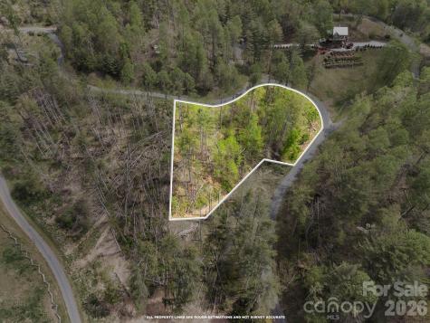 0000 Mountain Crest Drive Bakersville NC 28705