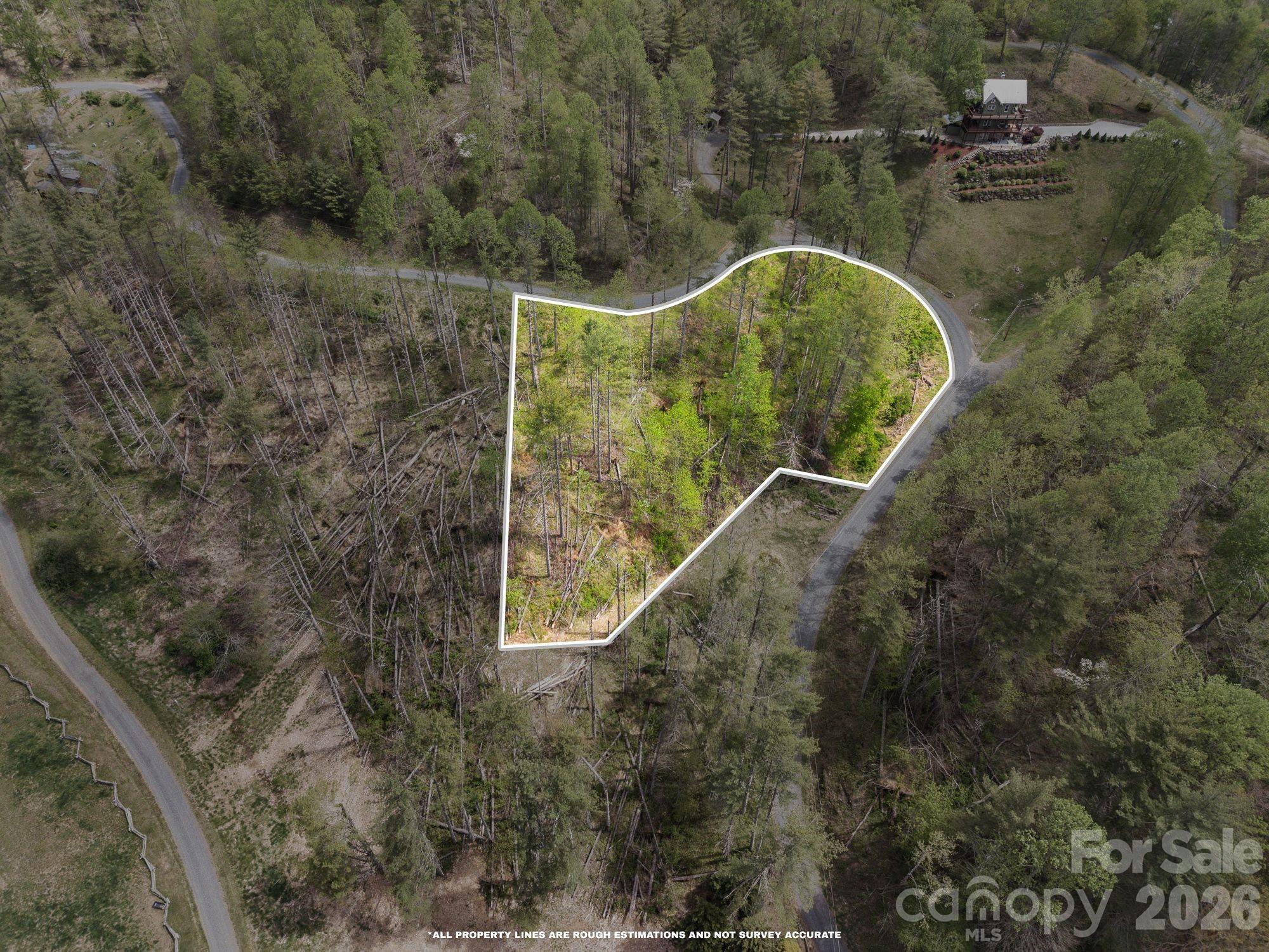 0000 Mountain Crest Drive Bakersville NC 28705