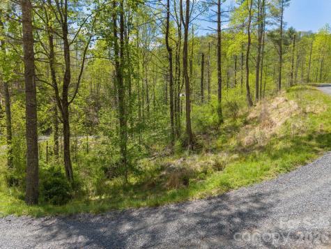 0000 Mountain Crest Drive Bakersville NC 28705
