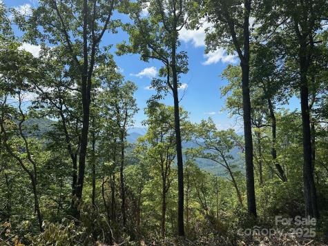 00 Falls View Drive Bryson City NC 28713