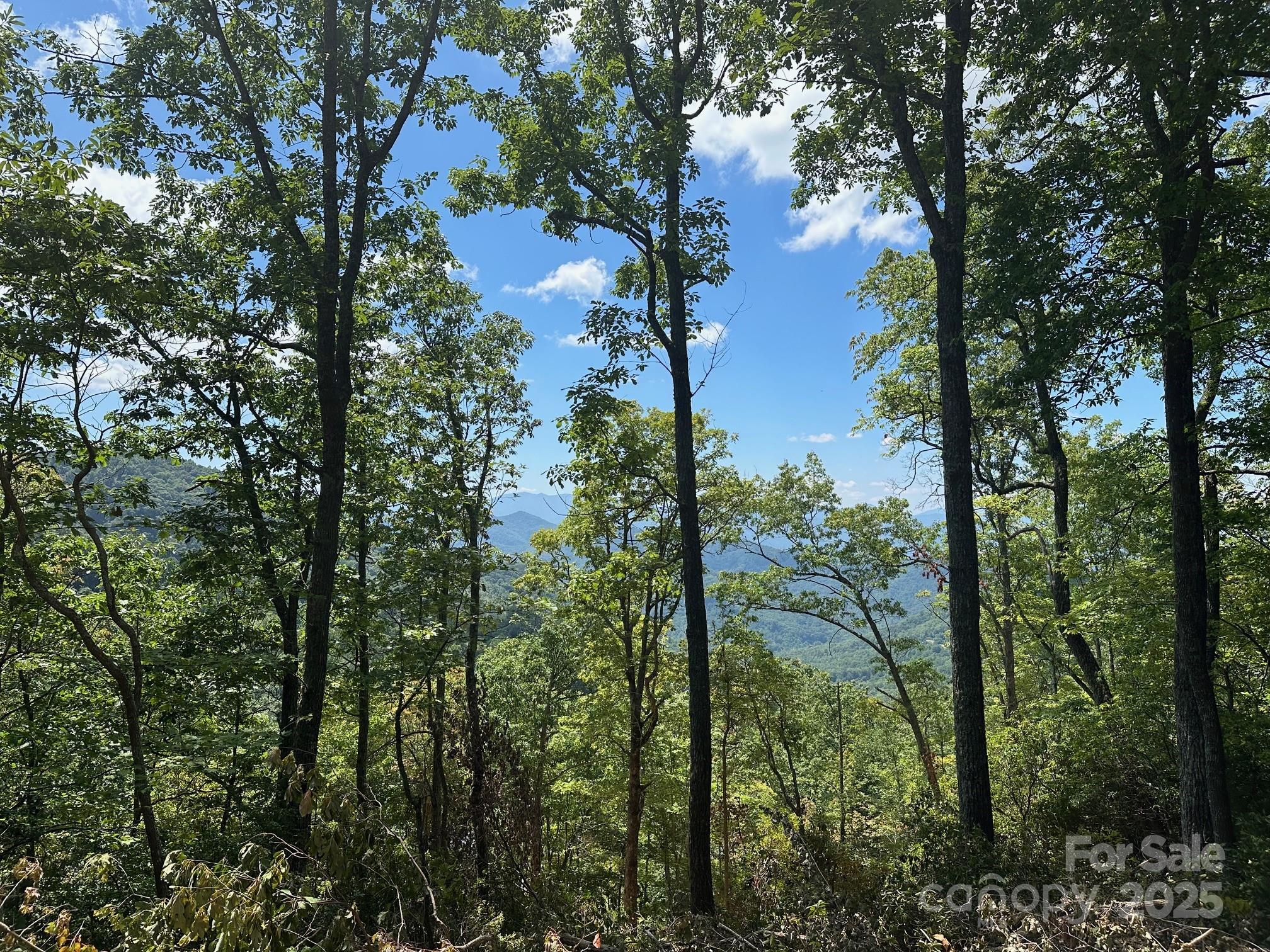 00 Falls View Drive Bryson City NC 28713