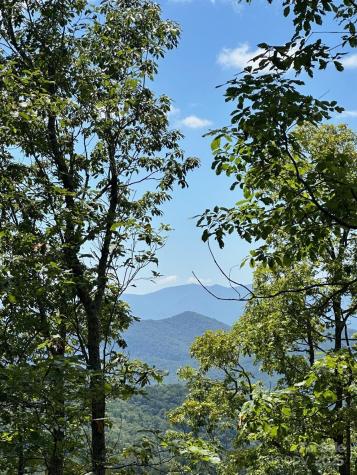00 Falls View Drive Bryson City NC 28713