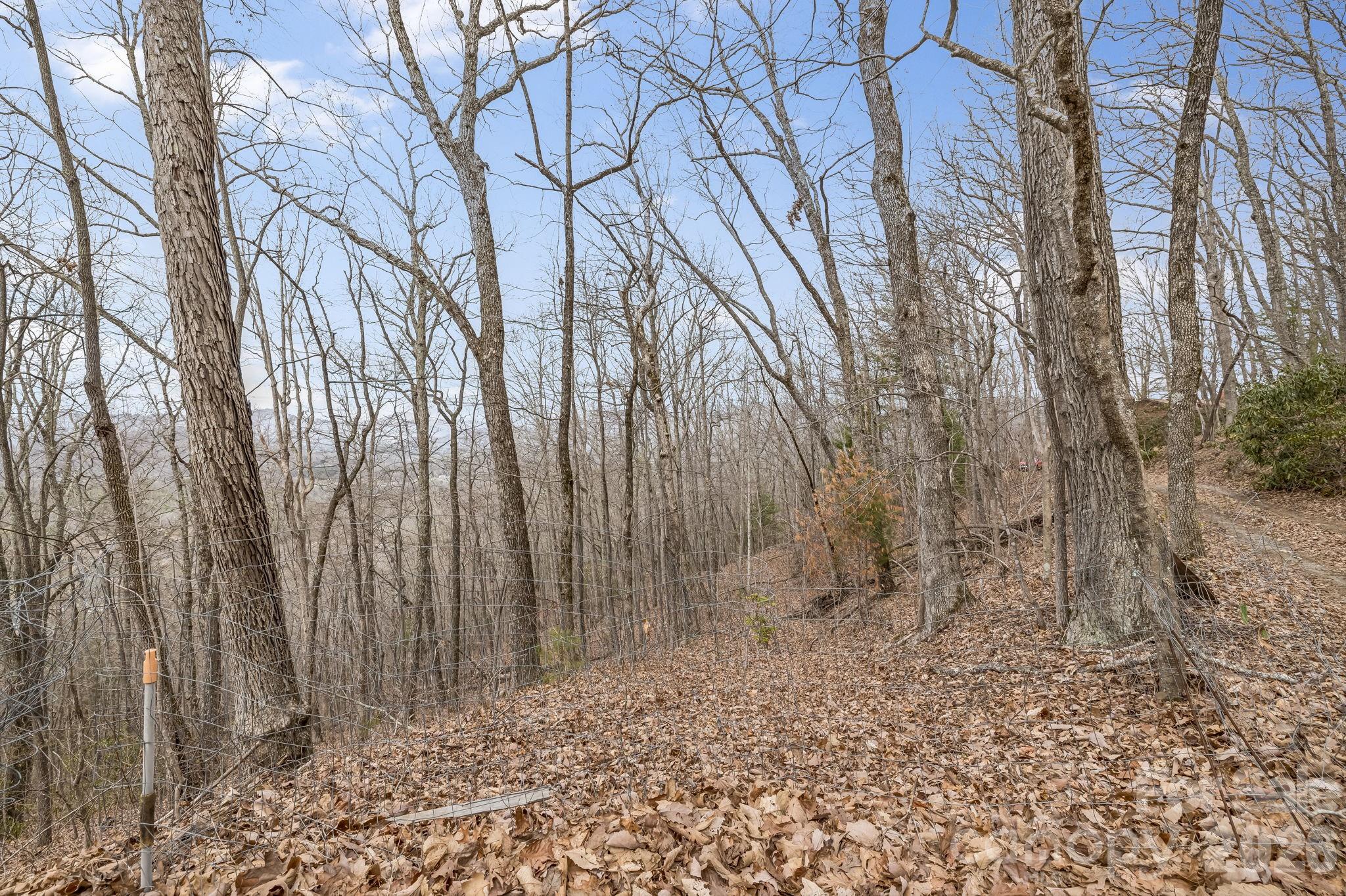 99999 Oak Ridge Road Swannanoa NC 28778
