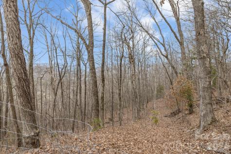 99999 Oak Ridge Road Swannanoa NC 28778