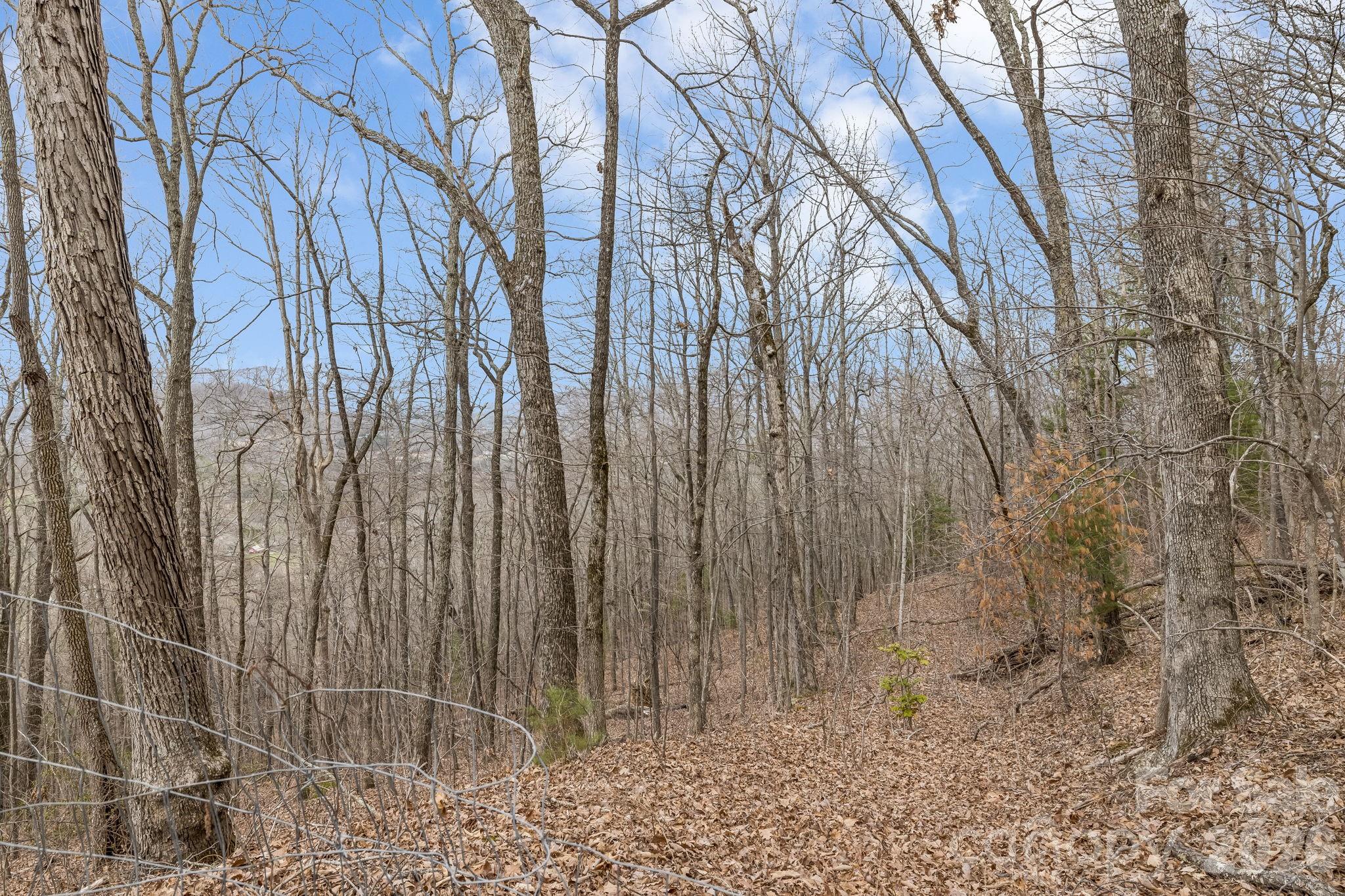 99999 Oak Ridge Road Swannanoa NC 28778