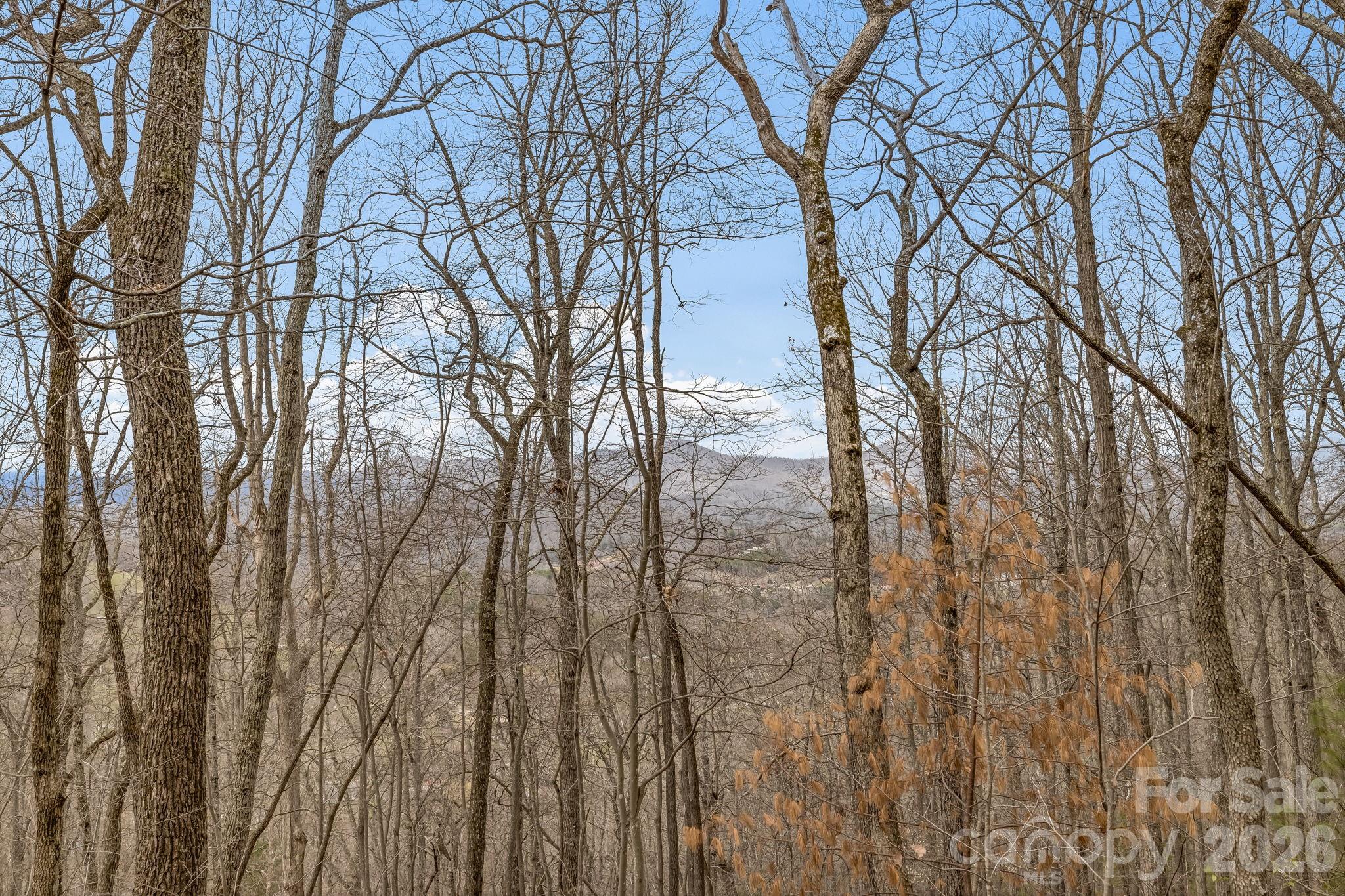 99999 Oak Ridge Road Swannanoa NC 28778