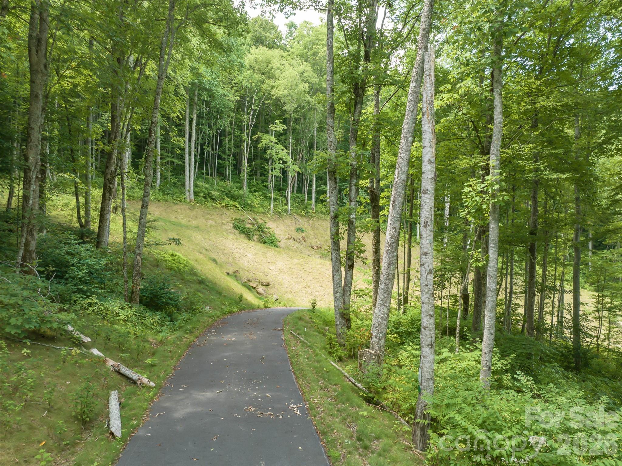 1394 Daydream Ridge Swannanoa NC 28778