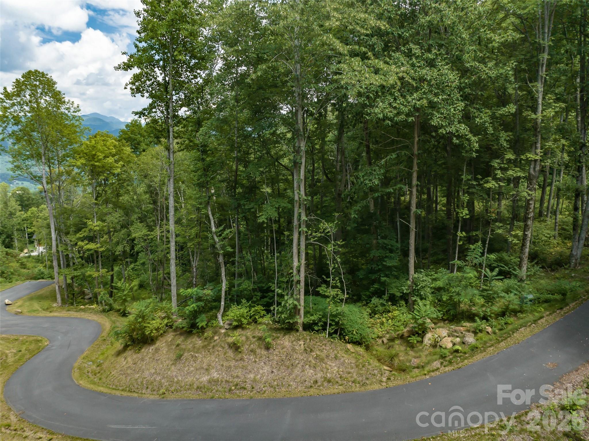 1394 Daydream Ridge Swannanoa NC 28778