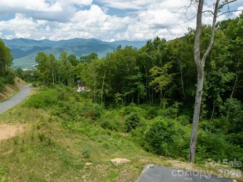 1394 Daydream Ridge Swannanoa NC 28778