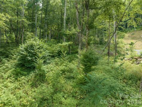 1394 Daydream Ridge Swannanoa NC 28778