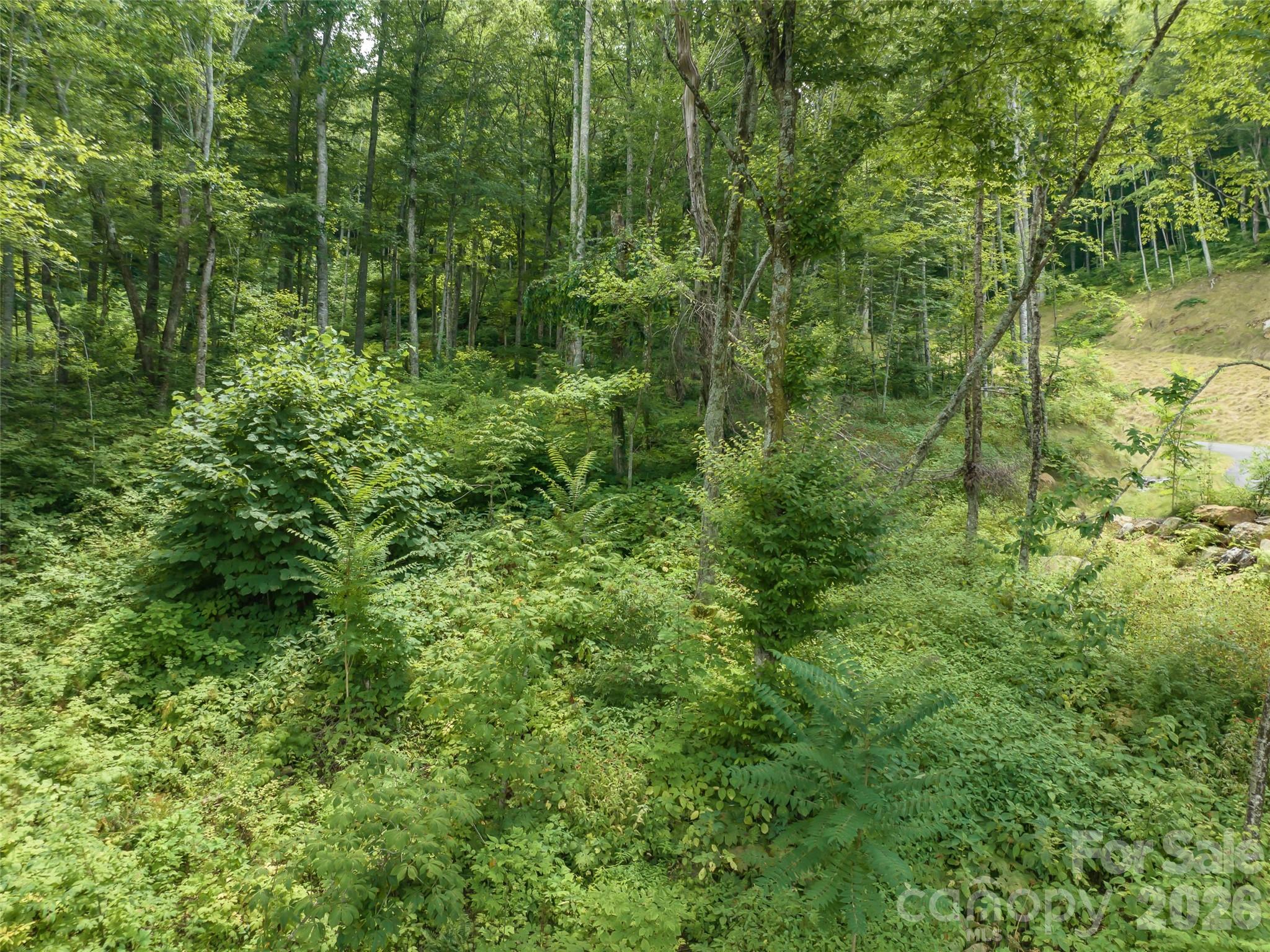 1394 Daydream Ridge Swannanoa NC 28778