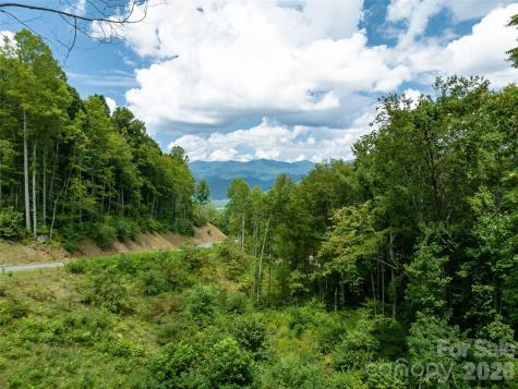 1394 Daydream Ridge Swannanoa NC 28778