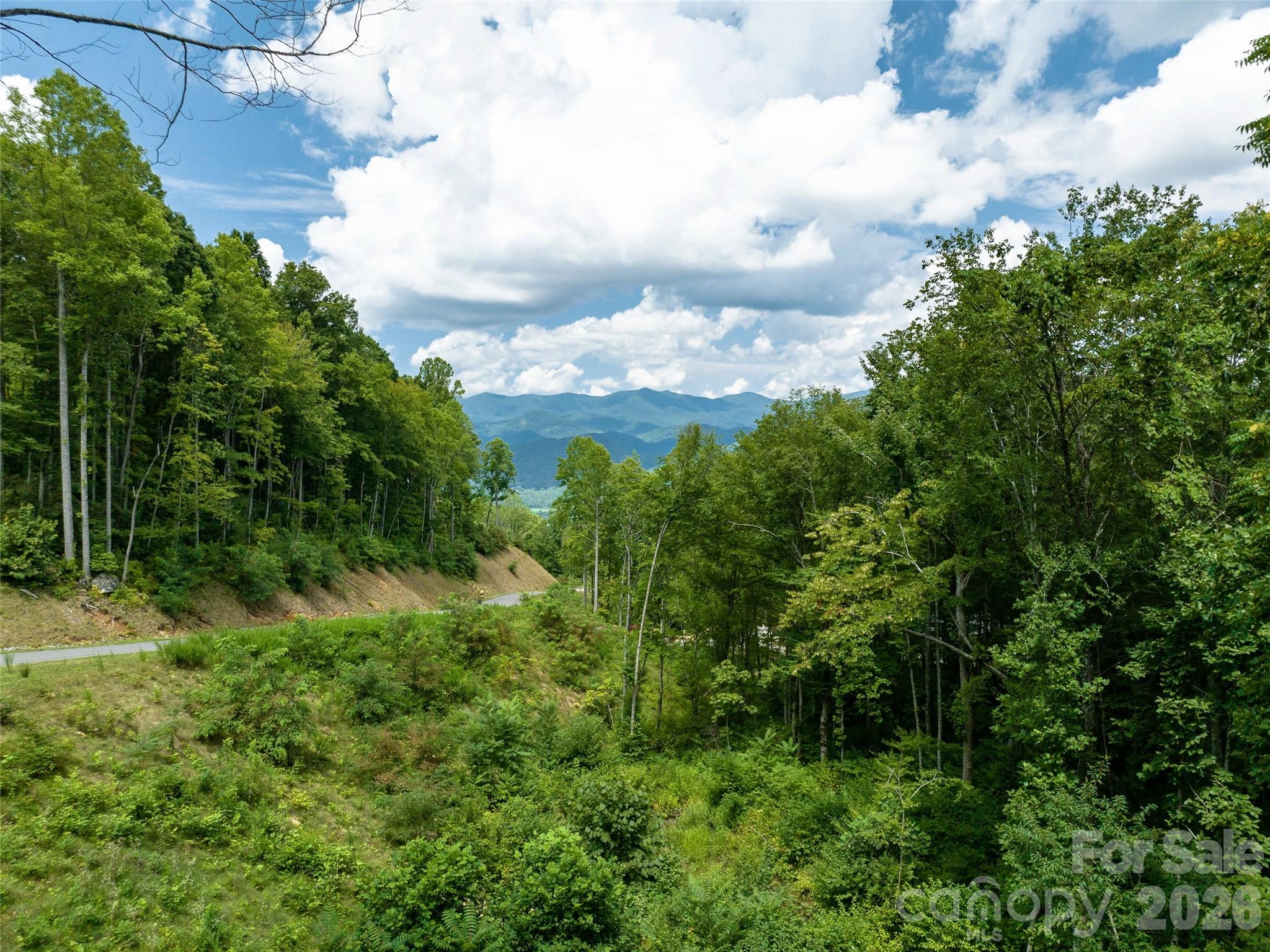 1394 Daydream Ridge Swannanoa NC 28778