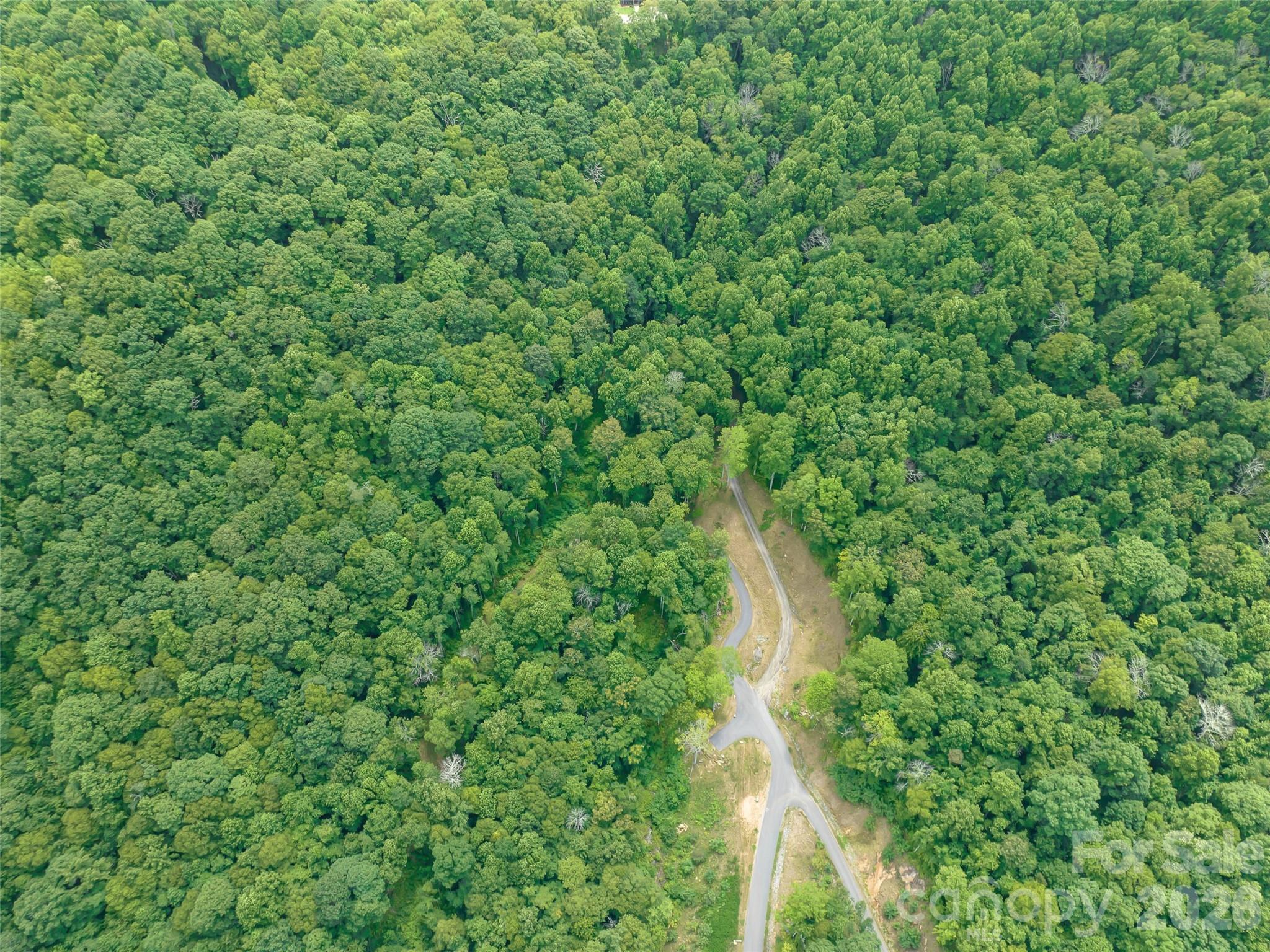 1394 Daydream Ridge Swannanoa NC 28778