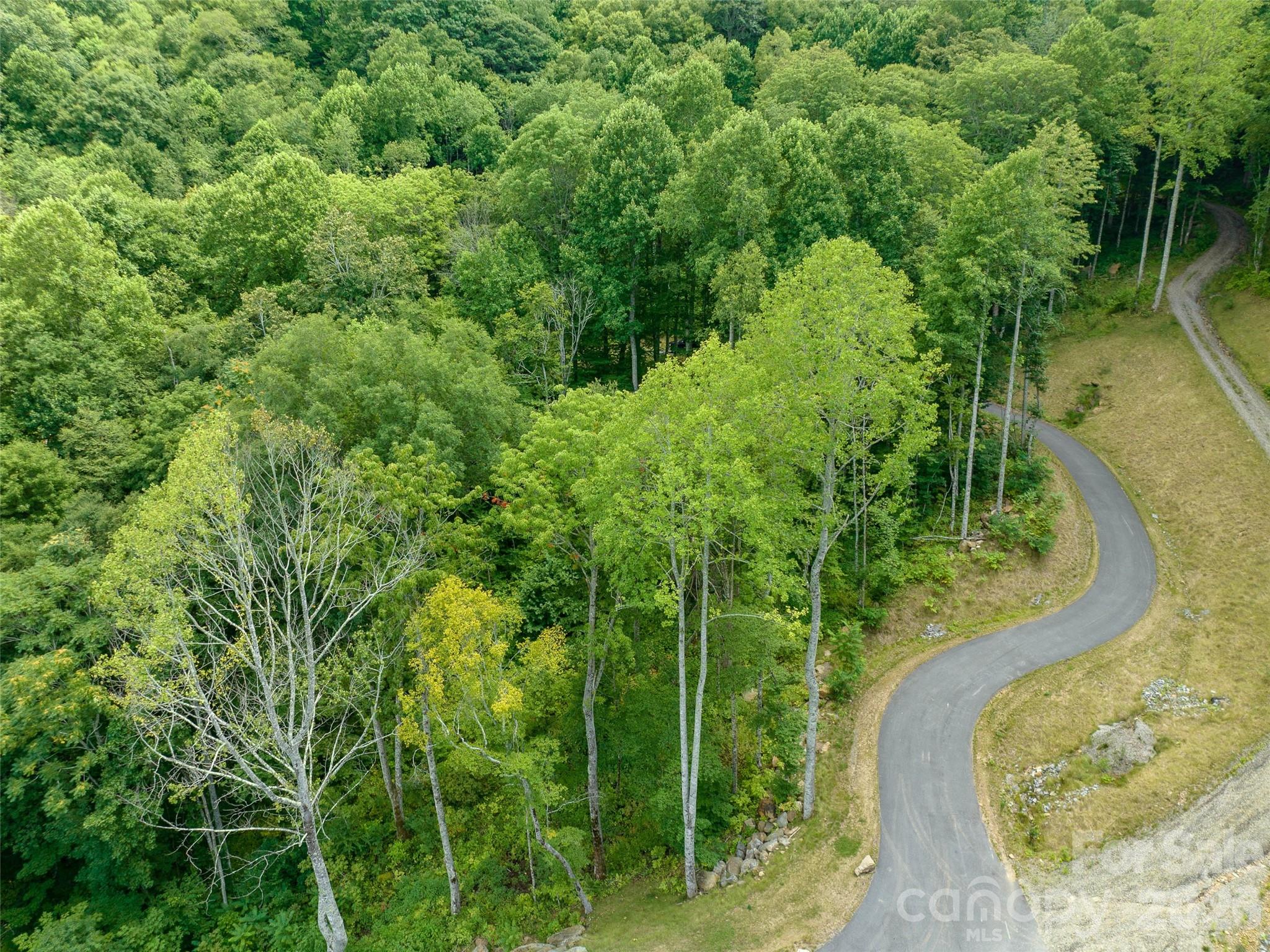 1394 Daydream Ridge Swannanoa NC 28778