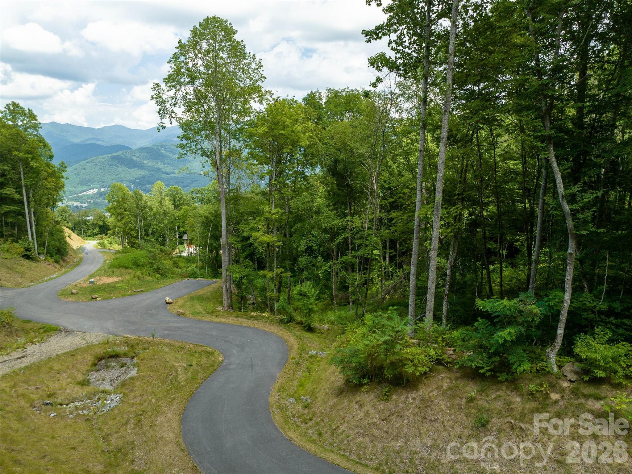 1394 Daydream Ridge Swannanoa NC 28778