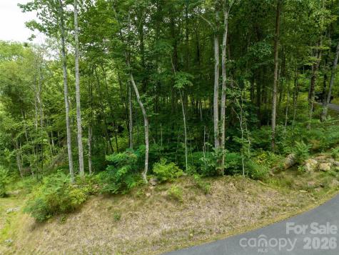 1394 Daydream Ridge Swannanoa NC 28778