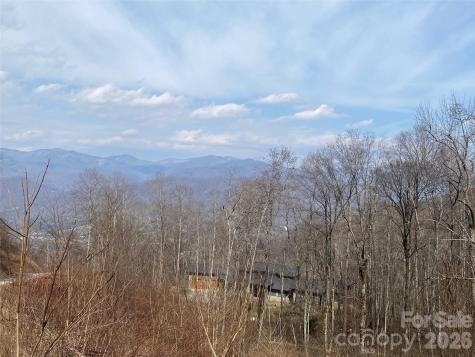 1394 Daydream Ridge Swannanoa NC 28778