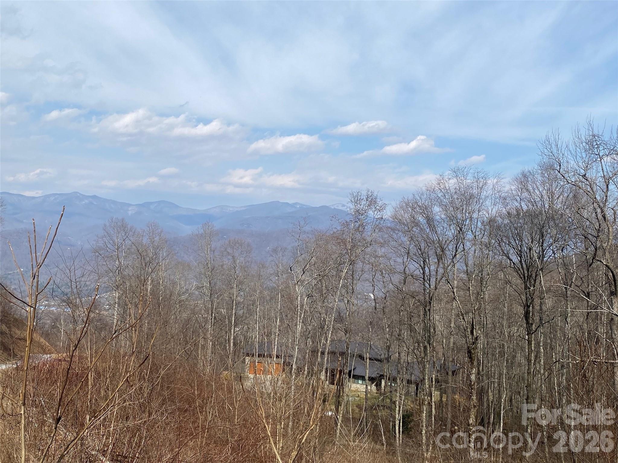 1394 Daydream Ridge Swannanoa NC 28778