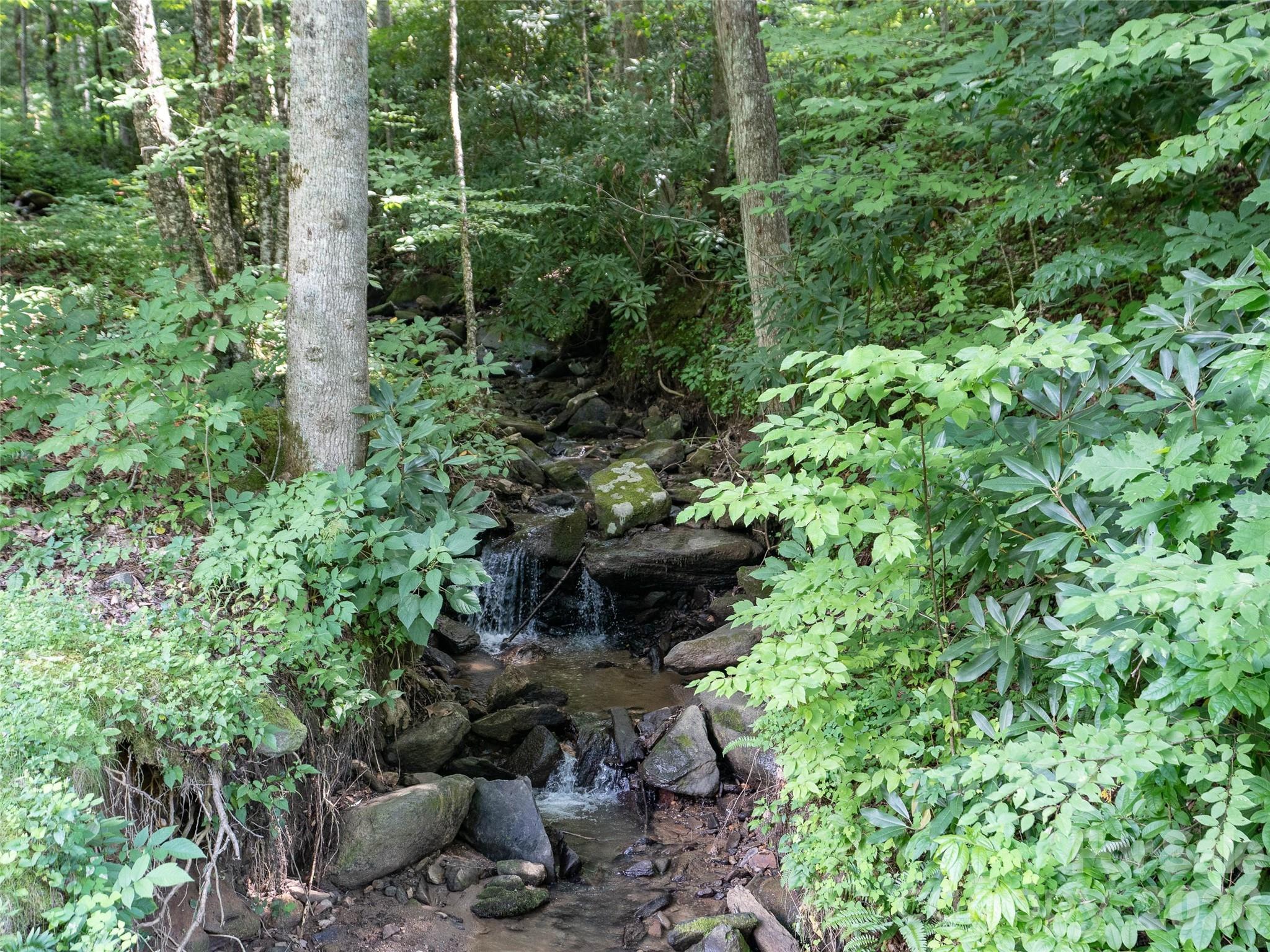 1394 Daydream Ridge Swannanoa NC 28778