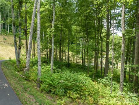 1394 Daydream Ridge Swannanoa NC 28778