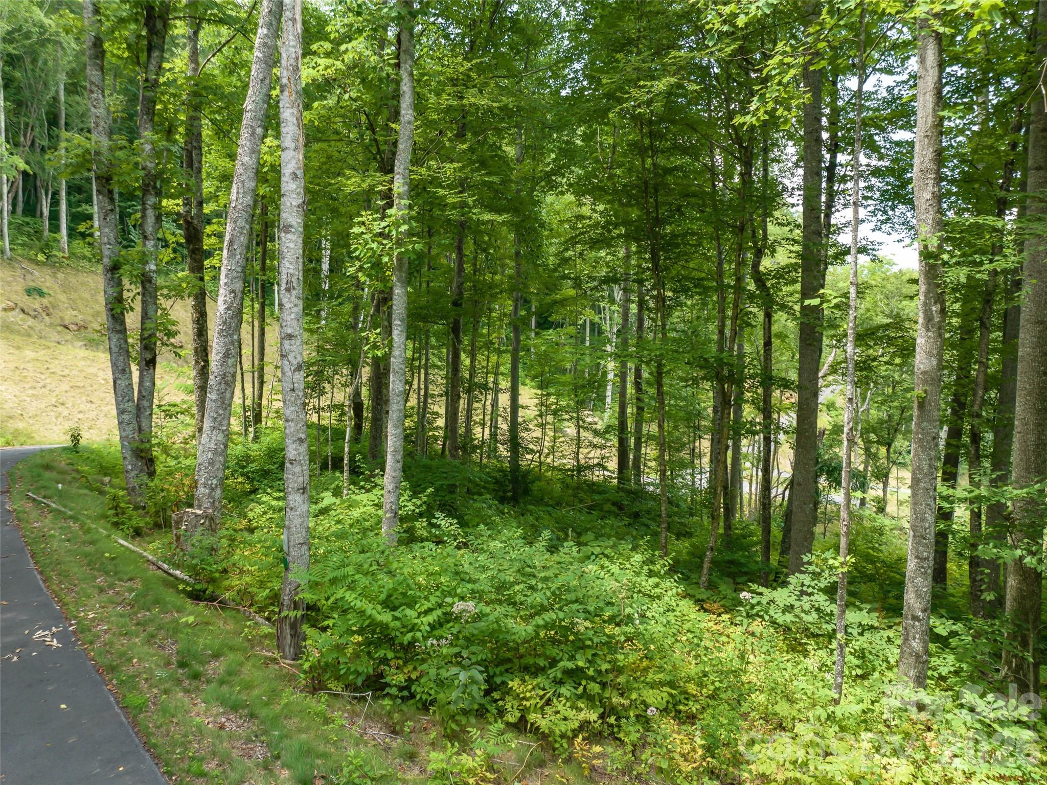 1394 Daydream Ridge Swannanoa NC 28778