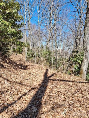 0 Eagles Nest Road Waynesville NC 28786