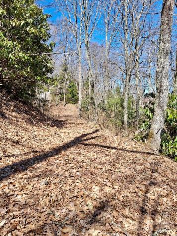 0 Eagles Nest Road Waynesville NC 28786