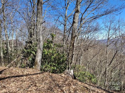 0 Eagles Nest Road Waynesville NC 28786