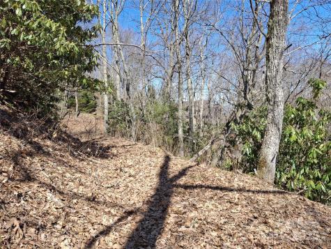 0 Eagles Nest Road Waynesville NC 28786