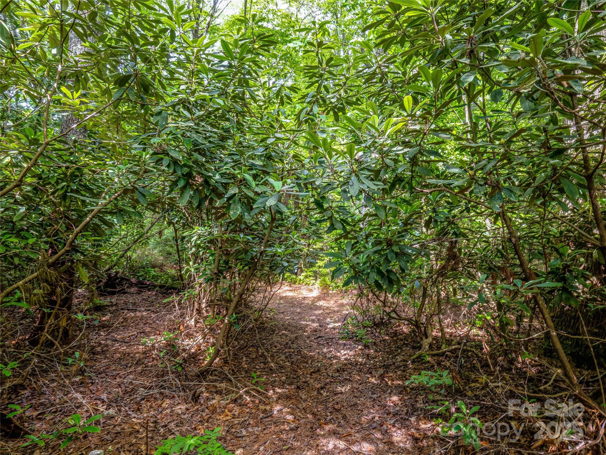 J 34 Cherokee Point Lake Toxaway NC 28747