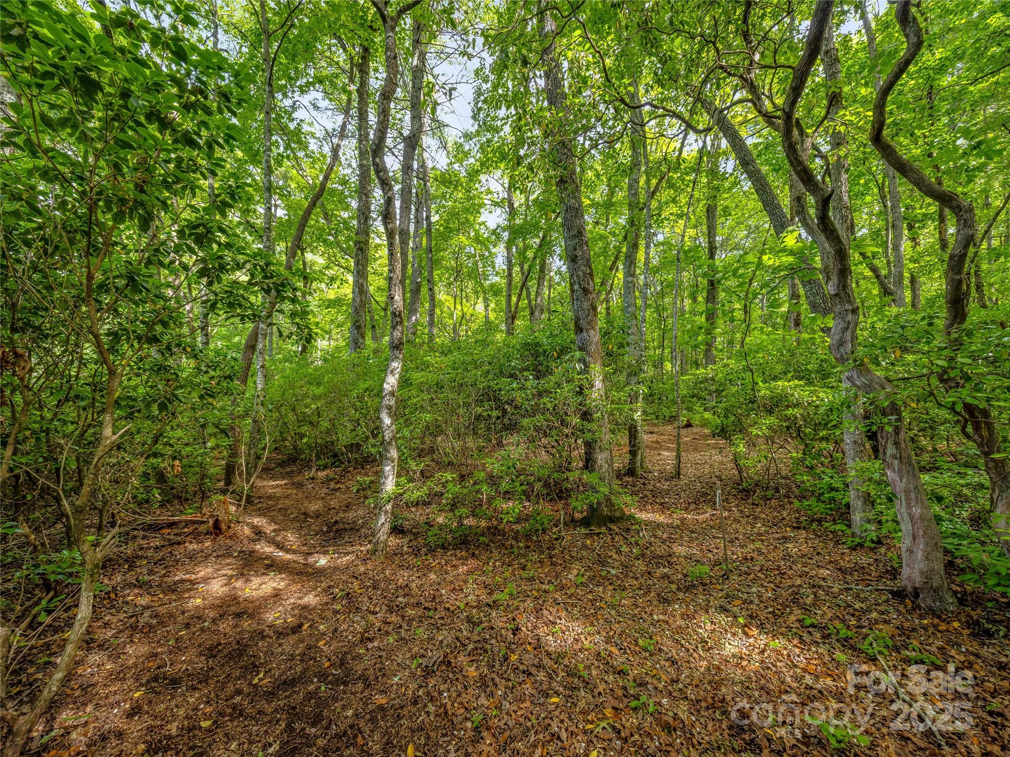J 34 Cherokee Point Lake Toxaway NC 28747