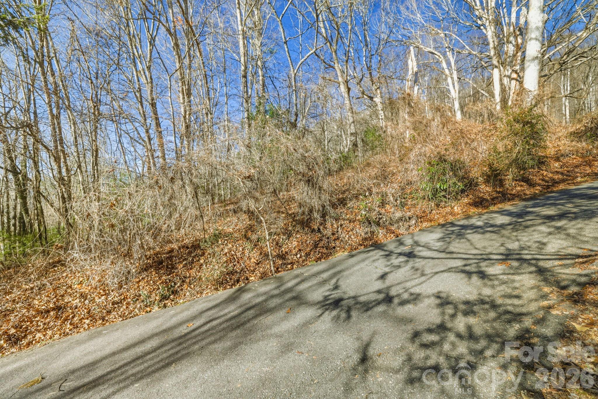 000 Briarwood Road Webster NC 28788