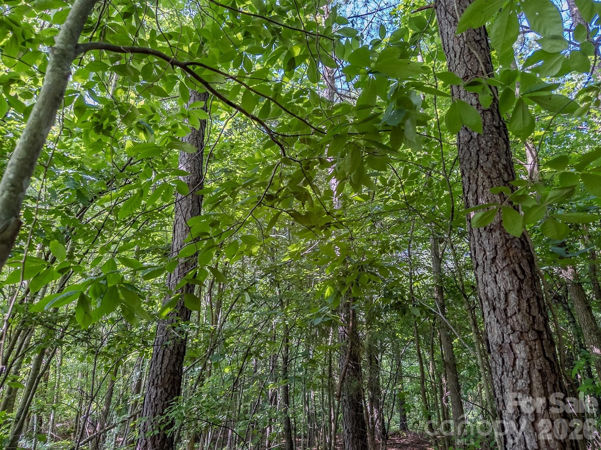4794 Cauble Road Mount Pleasant NC 28124