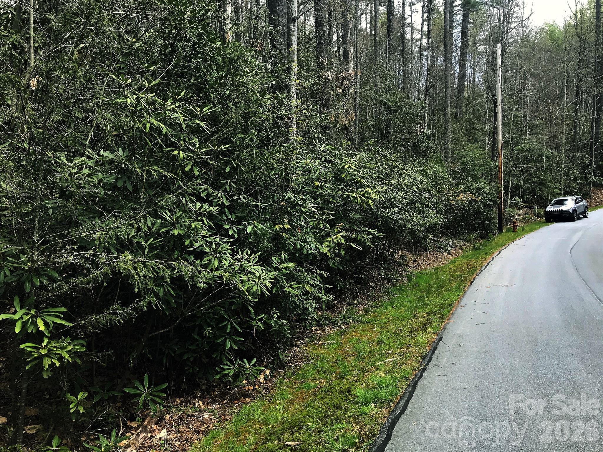 152 Sunrise Court Sapphire NC 28774