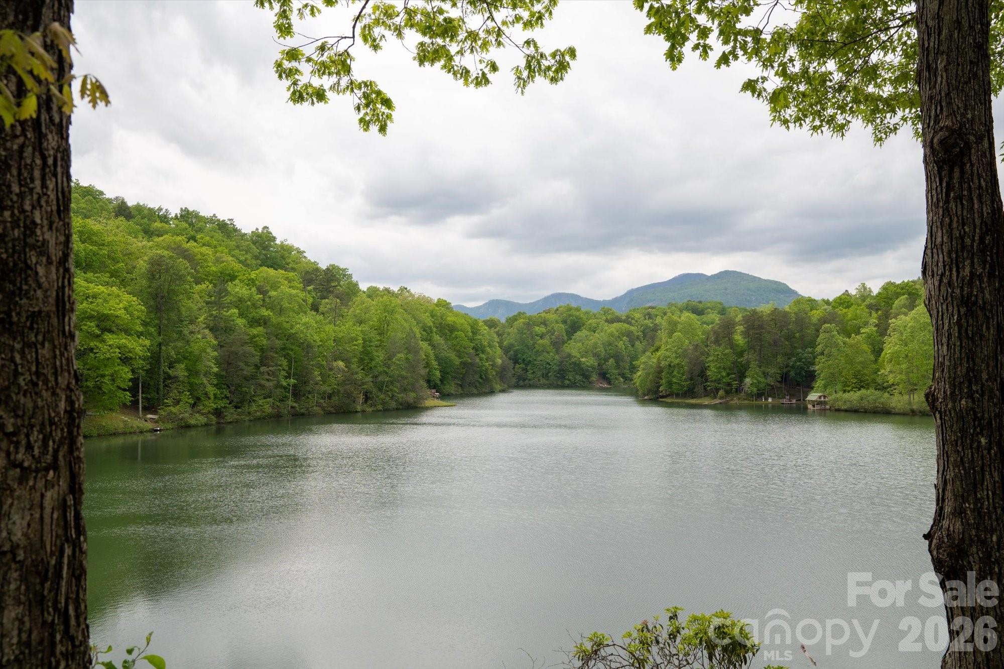 1015 Rainbow Circle Lake Lure NC 28746