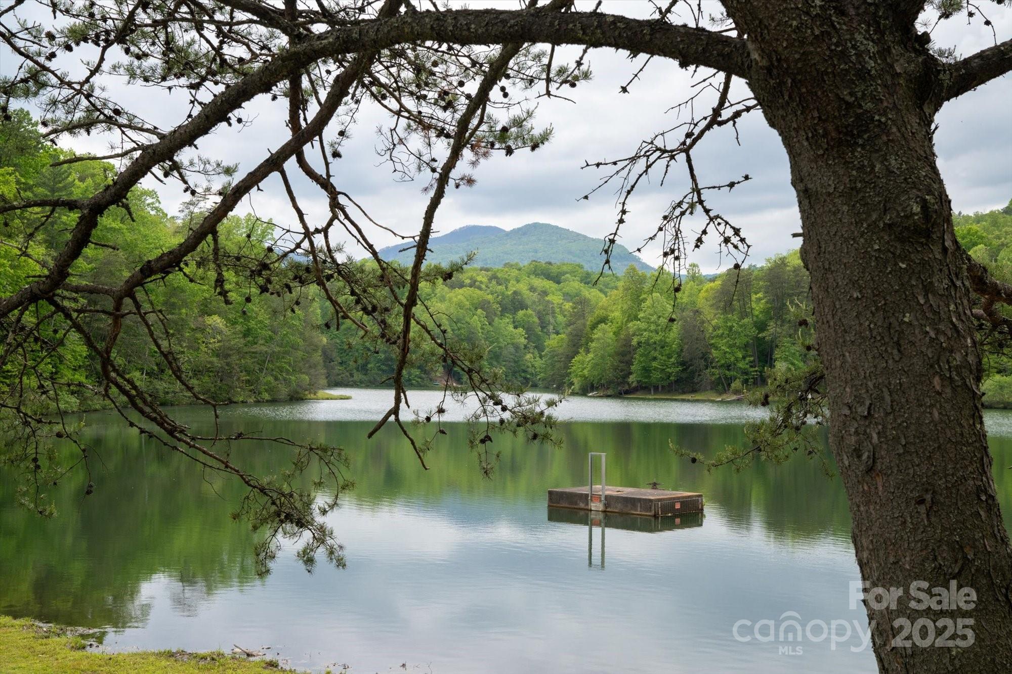 1015 Rainbow Circle Lake Lure NC 28746