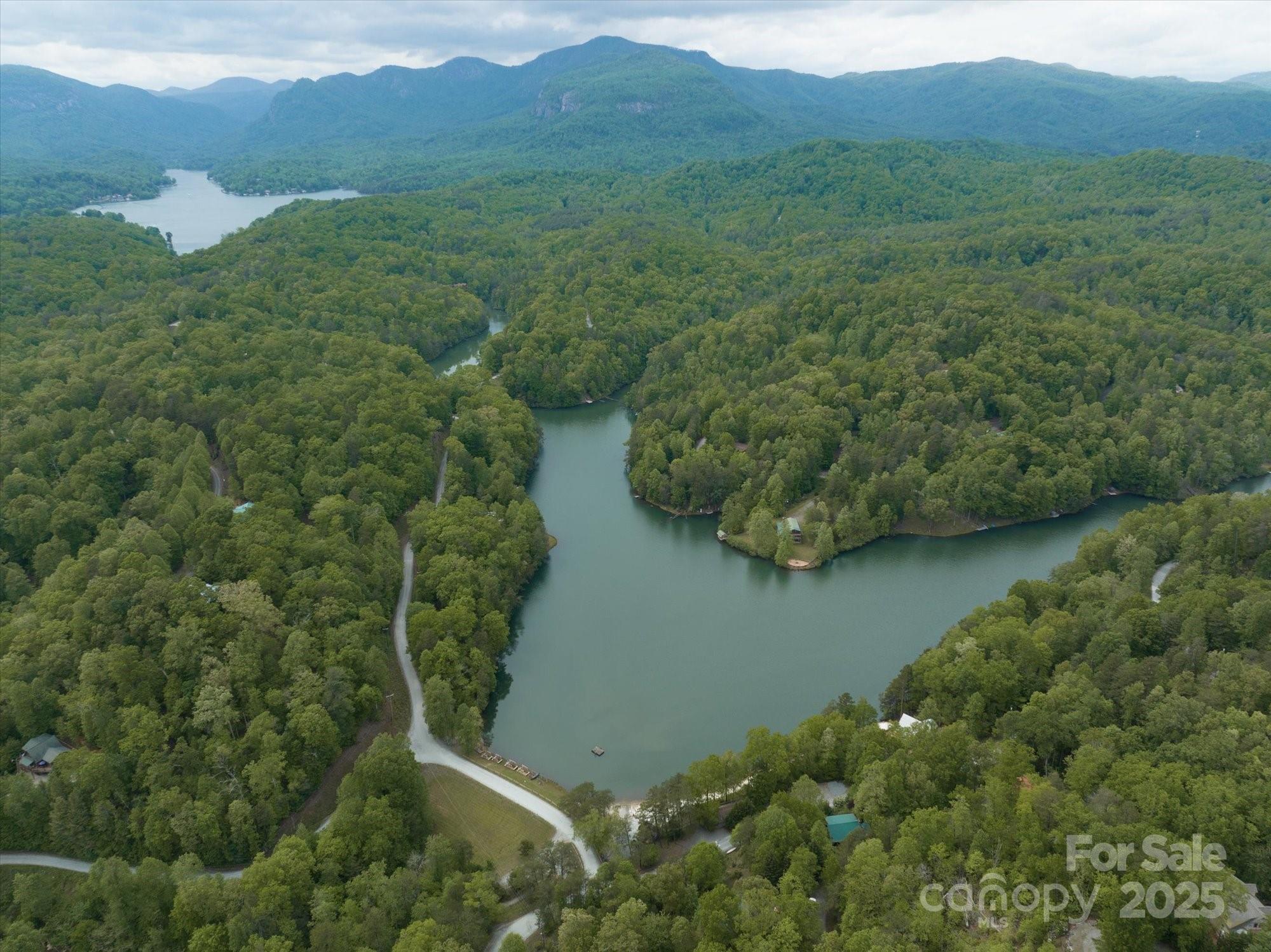 1015 Rainbow Circle Lake Lure NC 28746