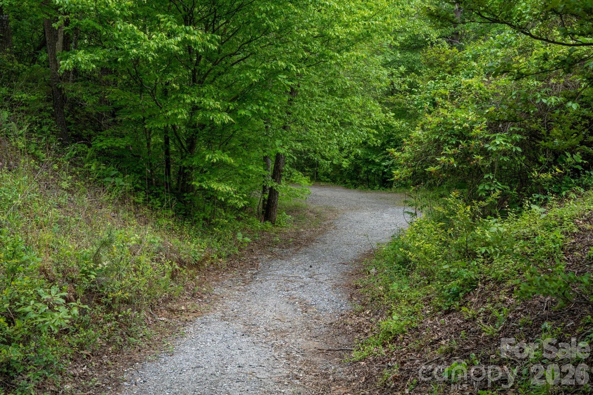 1015 Rainbow Circle Lake Lure NC 28746