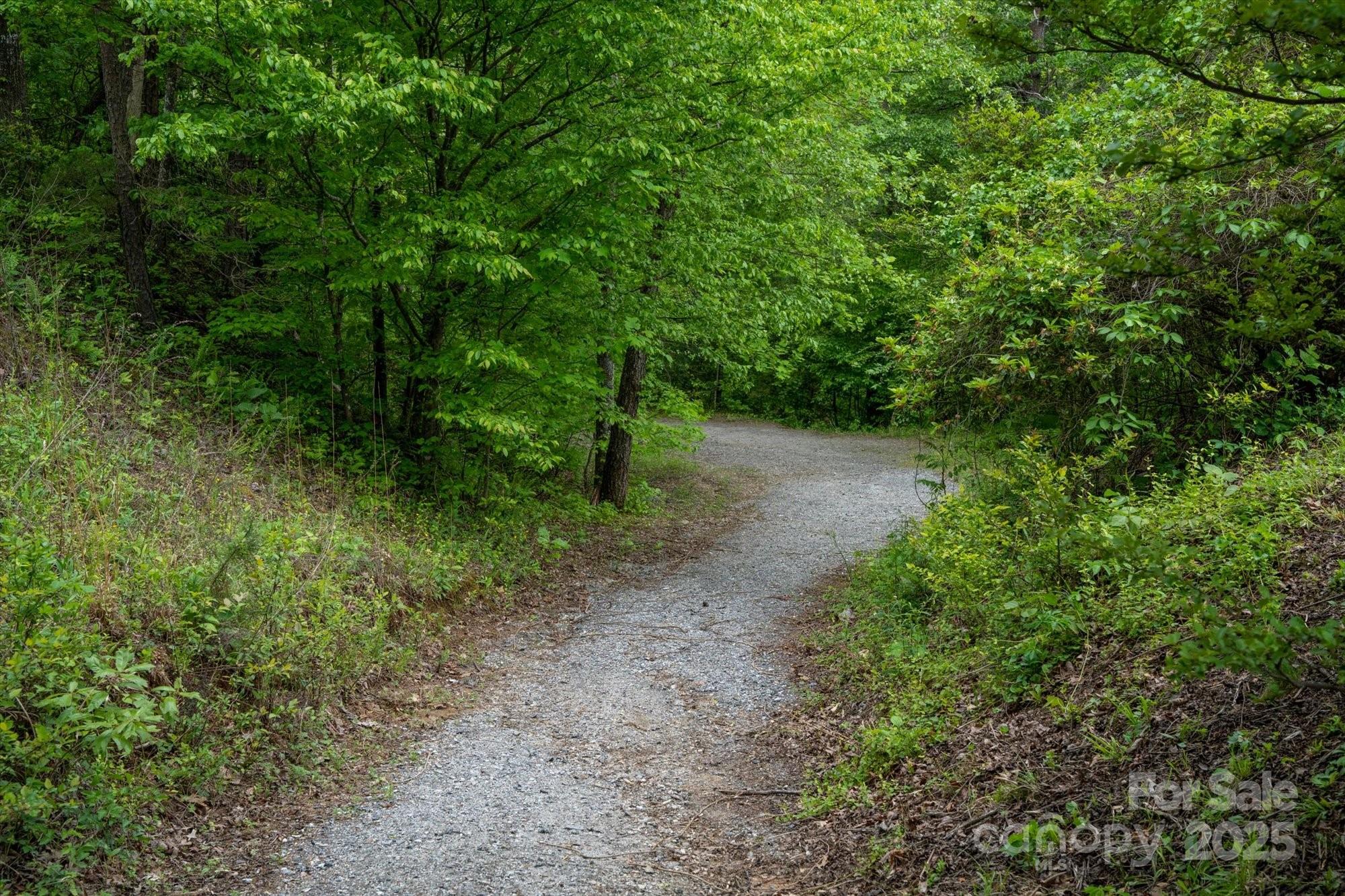 1015 Rainbow Circle Lake Lure NC 28746