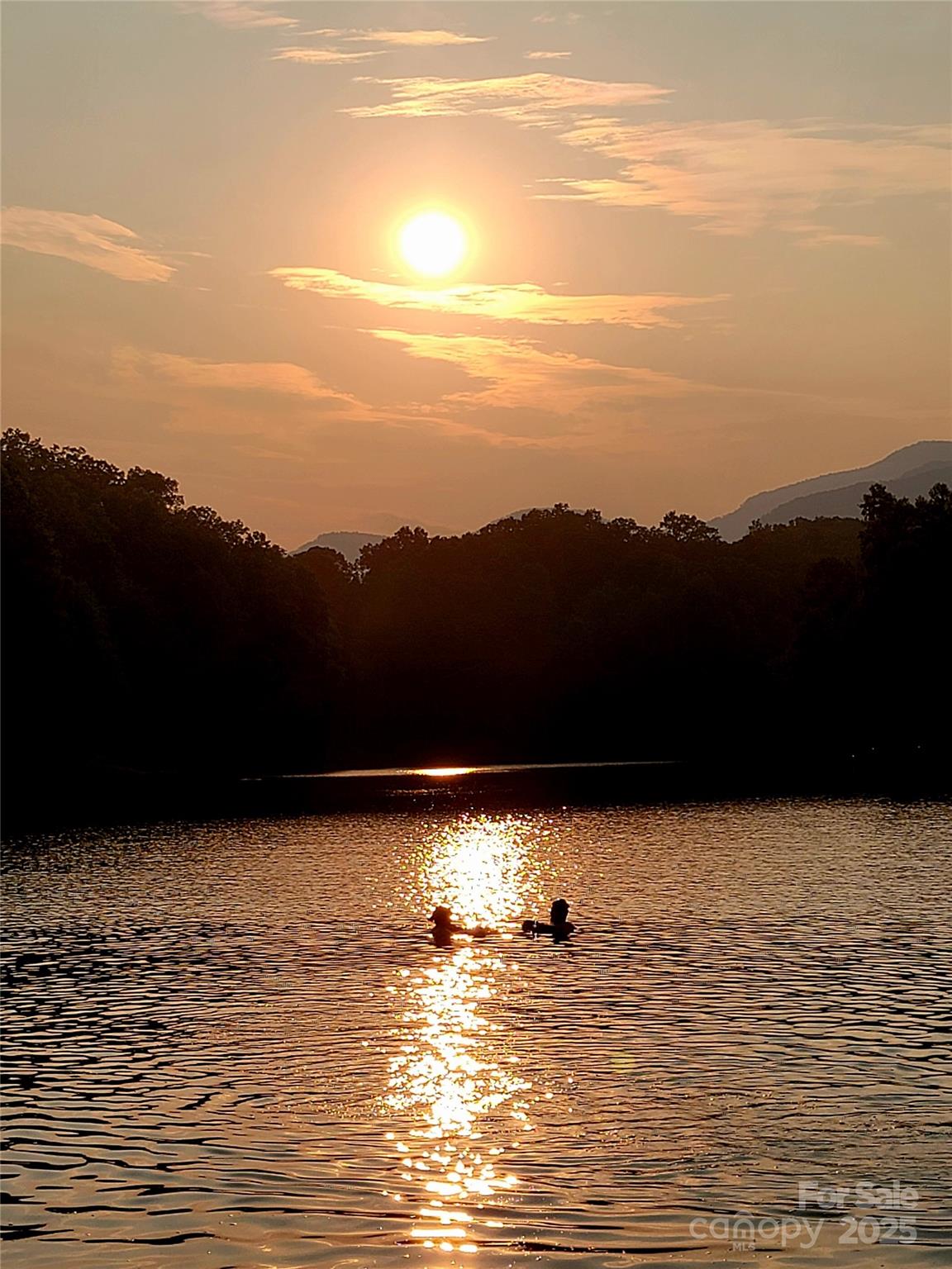 1015 Rainbow Circle Lake Lure NC 28746